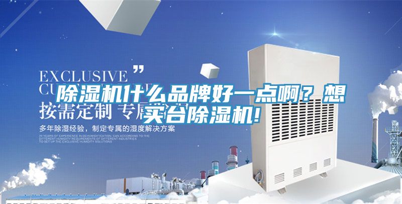 除濕機(jī)什么品牌好一點(diǎn)啊?想買臺除濕機(jī)!