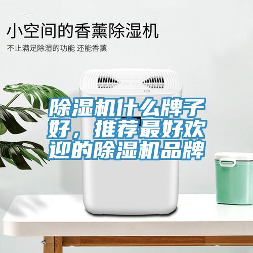 除濕機什么牌子好,推薦最好歡迎的除濕機品牌