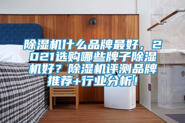 除濕機(jī)什么品牌最好,2021選購哪些牌子除濕機(jī)好?除濕機(jī)評測品牌推薦+行業(yè)分析!