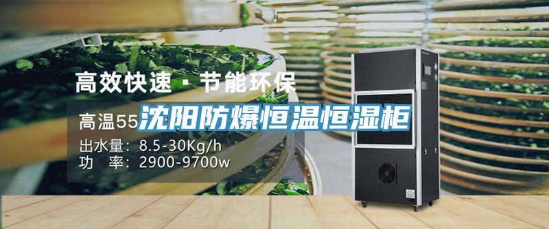 沈陽(yáng)防爆恒溫恒濕柜