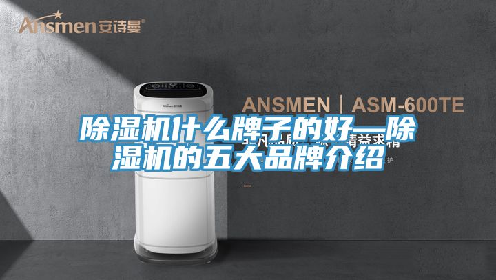 除濕機什么牌子的好—除濕機的五大品牌介紹