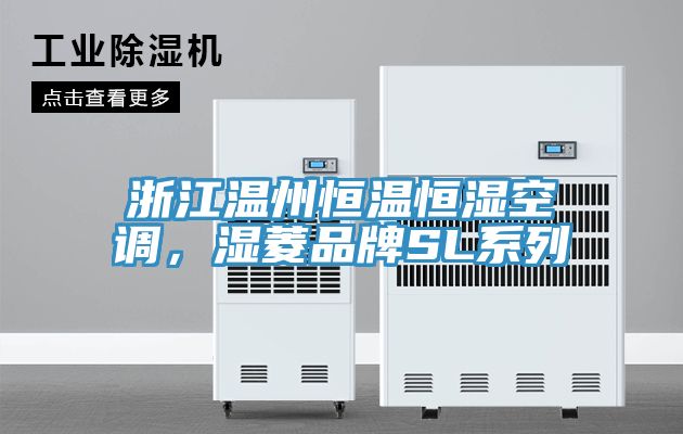 浙江溫州恒溫恒濕空調，濕菱品牌SL系列