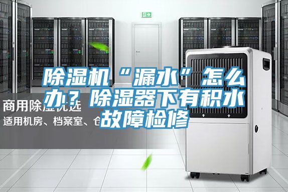 除濕機“漏水”怎么辦?除濕器下有積水故障檢修