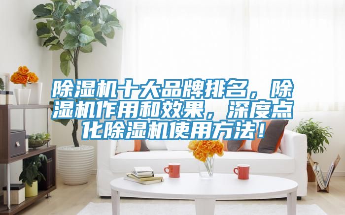 除濕機(jī)十大品牌排名,除濕機(jī)作用和效果,深度點(diǎn)化除濕機(jī)使用方法!