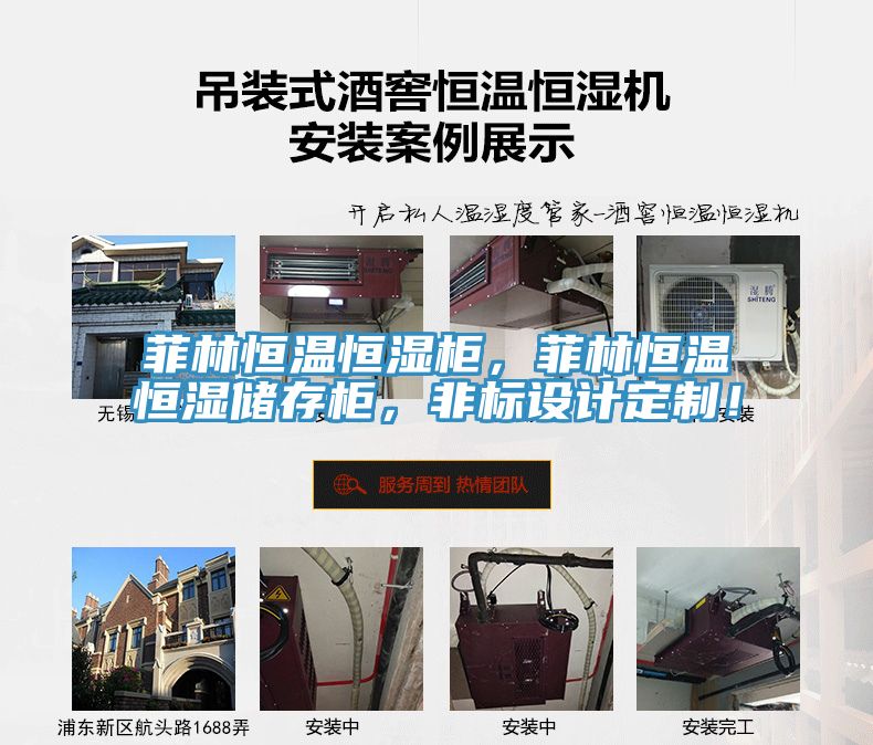 菲林恒溫恒濕柜，菲林恒溫恒濕儲存柜，非標設計定制！