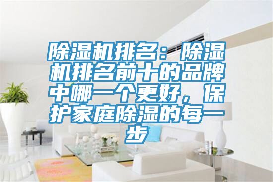 除濕機(jī)排名:除濕機(jī)排名前十的品牌中哪一個(gè)更好,保護(hù)家庭除濕的每一步