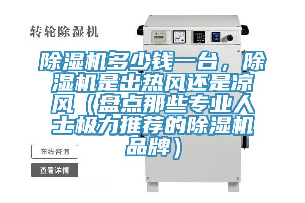 除濕機(jī)多少錢一臺(tái)，除濕機(jī)是出熱風(fēng)還是涼風(fēng)（盤點(diǎn)那些專業(yè)人士極力推薦的除濕機(jī)品牌）