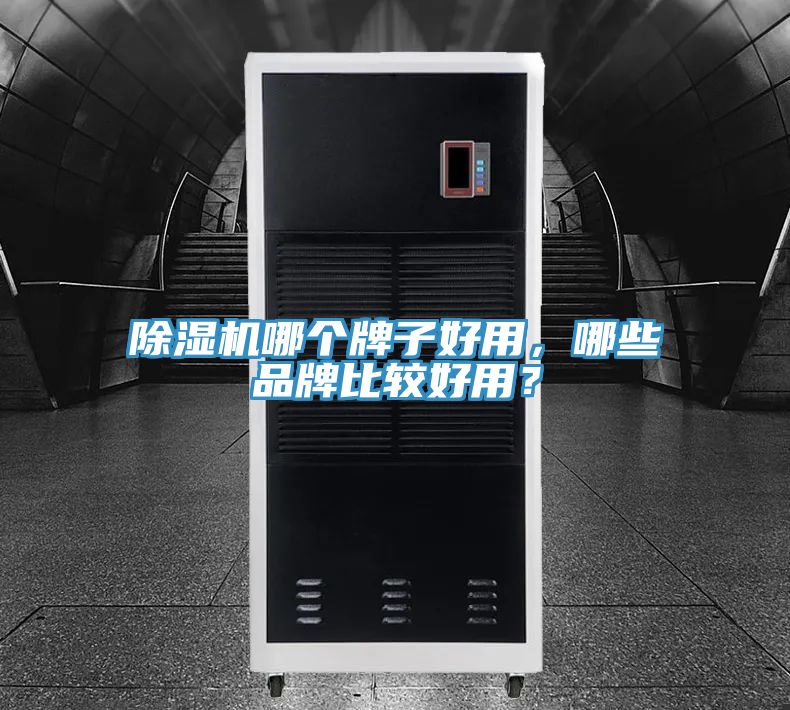 除濕機哪個牌子好用，哪些品牌比較好用？