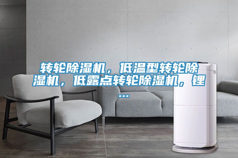 轉輪除濕機,低溫型轉輪除濕機,低露點轉輪除濕機,鋰 ...