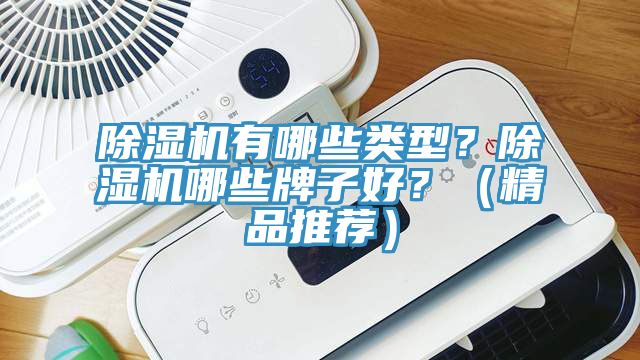 除濕機有哪些類型?除濕機哪些牌子好?(精品推薦)