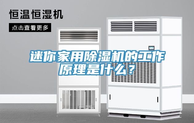 迷你家用除濕機的工作原理是什么?