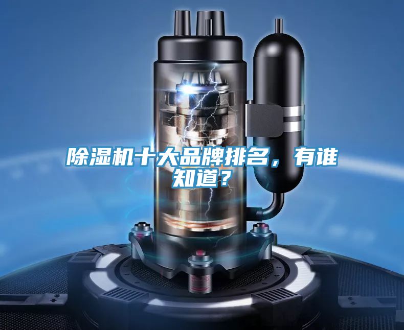除濕機(jī)十大品牌排名,有誰(shuí)知道?
