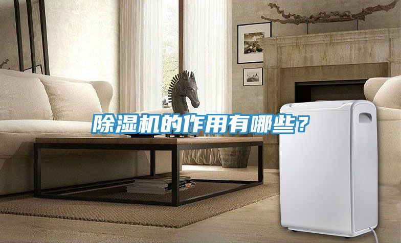 除濕機的作用有哪些？