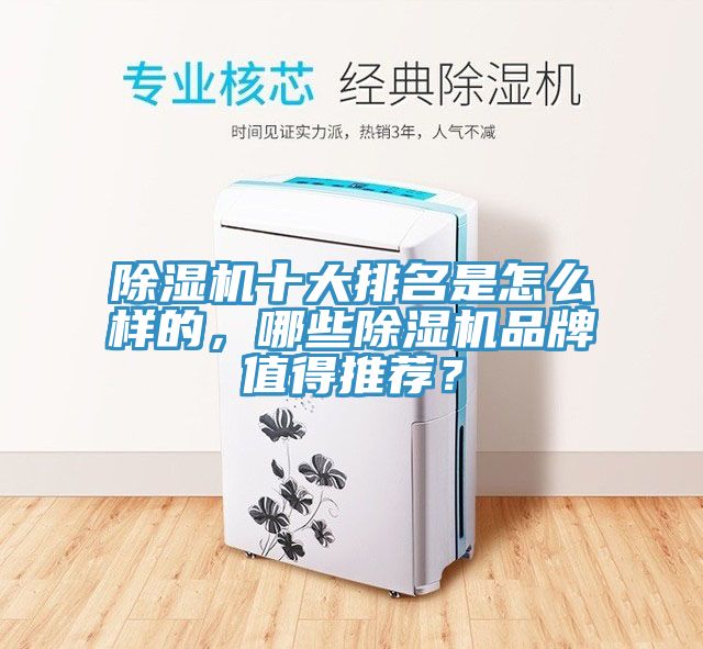 除濕機十大排名是怎么樣的,哪些除濕機品牌值得推薦?