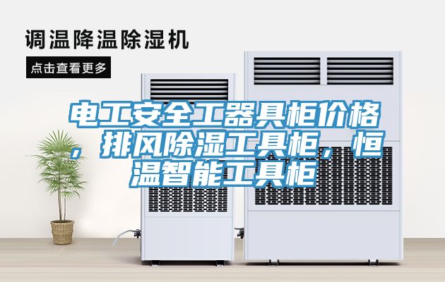 電工安全工器具柜價格,排風(fēng)除濕工具柜,恒溫智能工具柜