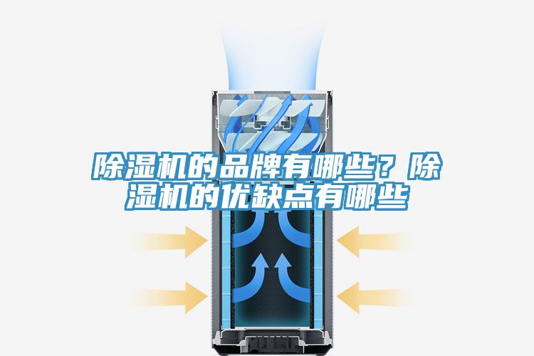 除濕機的品牌有哪些？除濕機的優(yōu)缺點有哪些