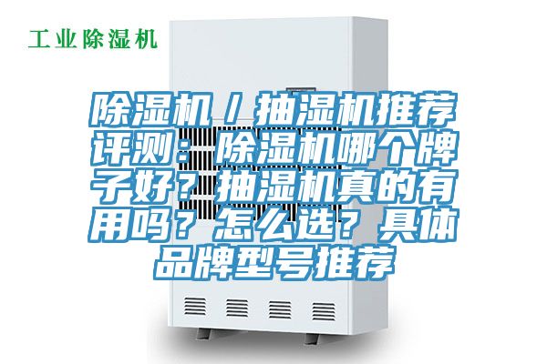 除濕機／抽濕機推薦評測：除濕機哪個牌子好？抽濕機真的有用嗎？怎么選？具體品牌型號推薦