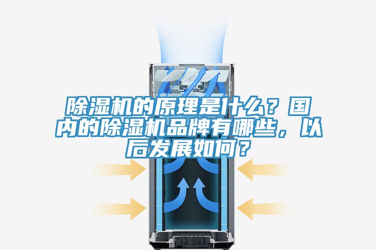 除濕機的原理是什么？國內(nèi)的除濕機品牌有哪些，以后發(fā)展如何？
