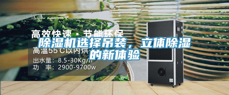 除濕機選擇吊裝，立體除濕的新體驗