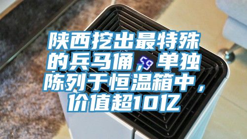 陜西挖出最特殊的兵馬俑，單獨陳列于恒溫箱中，價值超10億