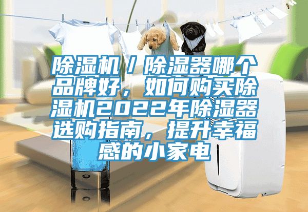 除濕機／除濕器哪個品牌好，如何購買除濕機2022年除濕器選購指南，提升幸福感的小家電